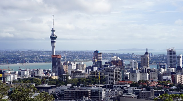 The skyline of Auckland, New Zealand, with a tower and several tall buildings in the foreground.