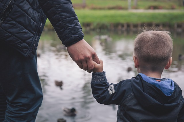 A child holds the hand of an adult while looking at a pond filled with ducks.